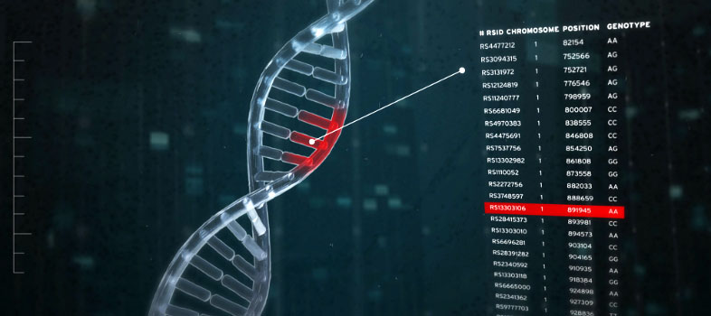 Illustration d'un brin d'ADN et de code