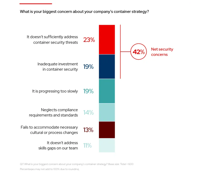 What is your biggest concern about your company's container strategy?