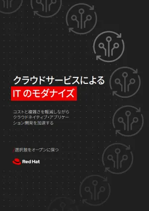 クラウドサービスによる IT のモダナイズ