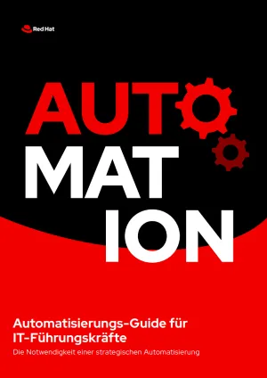 Automatisierungs-Guide für IT-Führungskräfte