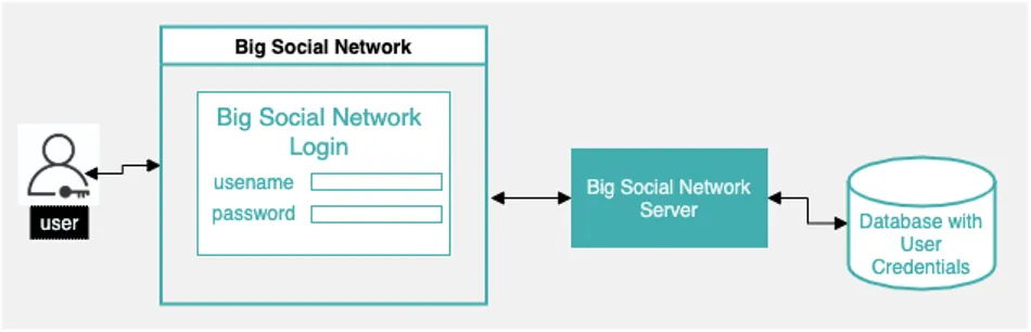 Users authenticate directly to Big Social Network