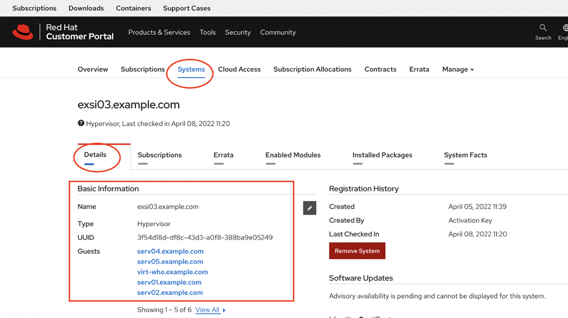 Red Hat Hybrid Cloud console systems tab details