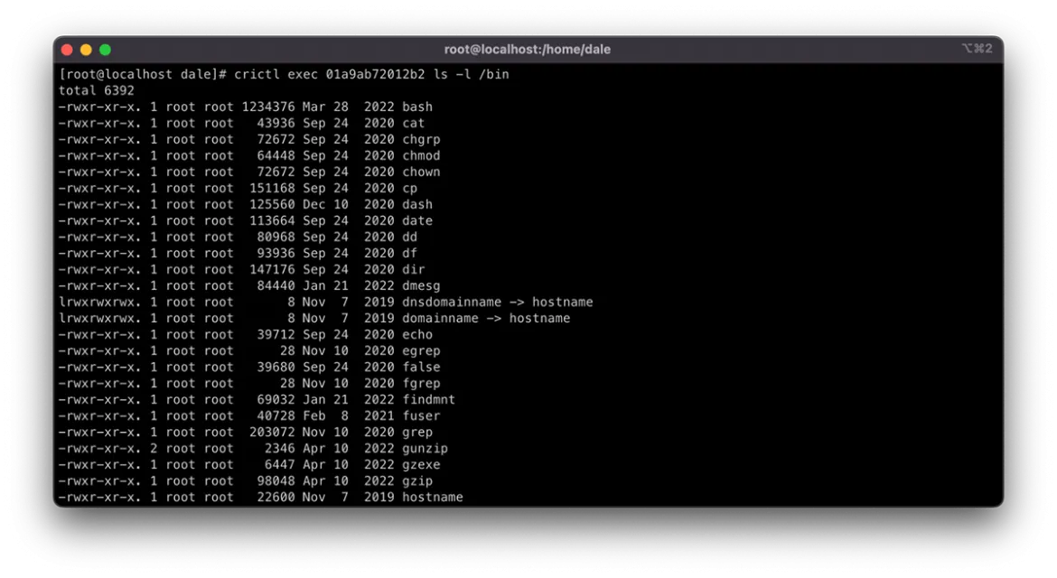 Screenshot of crictl exec <container id> ls -l /bin command results