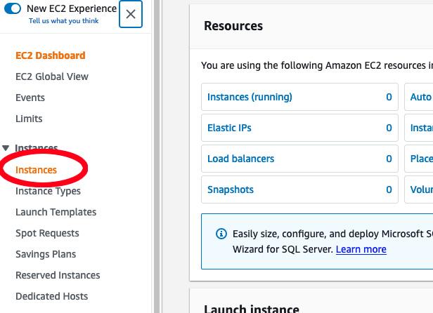 Sign into the AWS Management Console. Open the EC2 dashboard (you can find this under “Services”). In the EC2 menu, choose “Instances.”