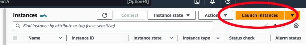 Click “Launch Instance” to create a new instance. T