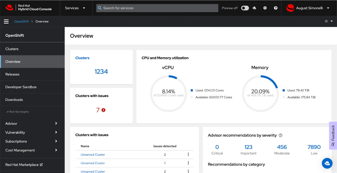 Screenshot of the cluster dashboard.