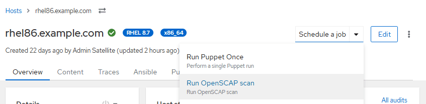 Red Hat Satellite tips: Run OpenSCAP scan menu option