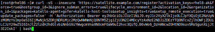 Red Hat Satellite tips: screenshot of a terminal window with the activation command pasted in