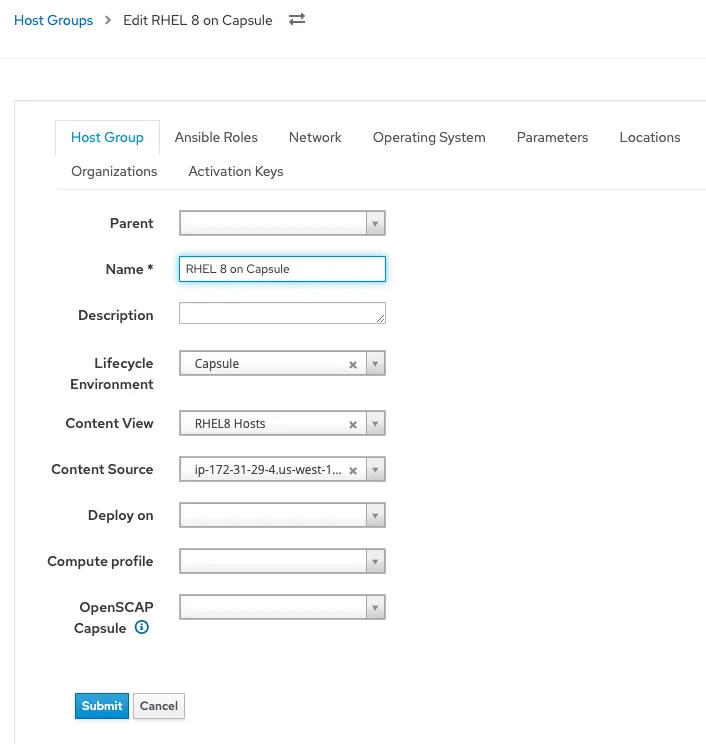 Screenshot showing the Satellite Host Group options