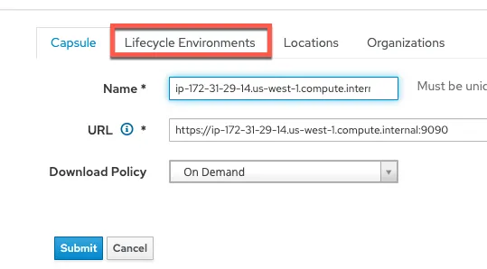 Screenshot with the Lifecycle Environments tab highlighted with a red box