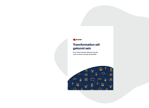E-Book: Transformation will gekonnt sein