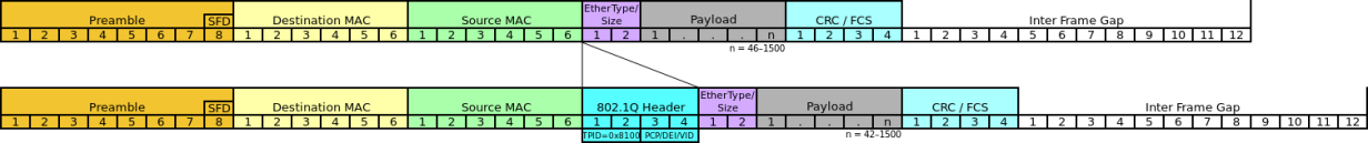 The 802.1Q header in an Ethernet trunk port frame.