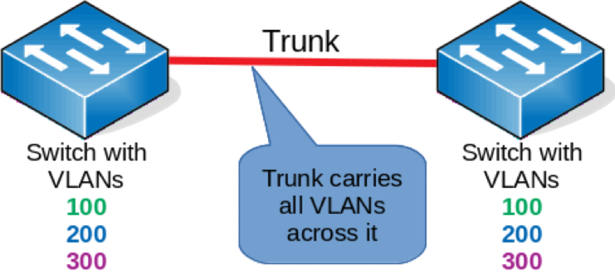 A VLAN using trunk ports.