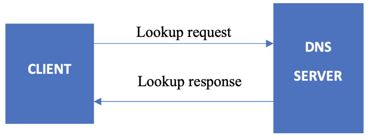 DNS lookup request and response between client and server