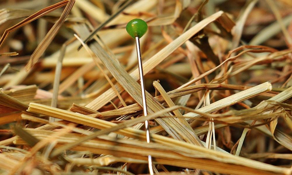 Small needle with green top in a haystack